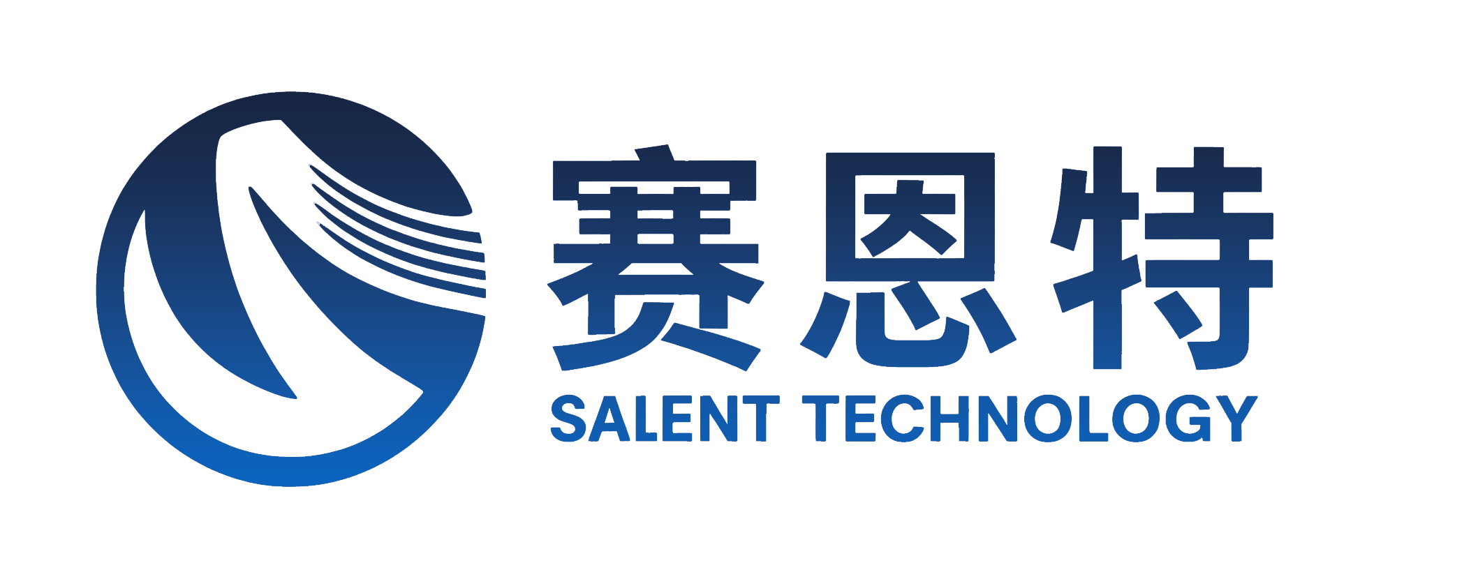 西安赛恩特信息科技有限公司